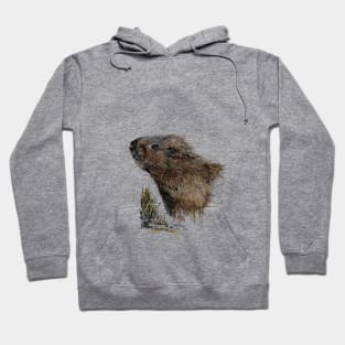 Watervole Hoodie